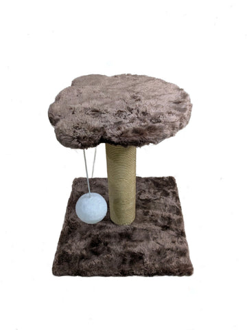 Premium Single Paw Top Scratching Post