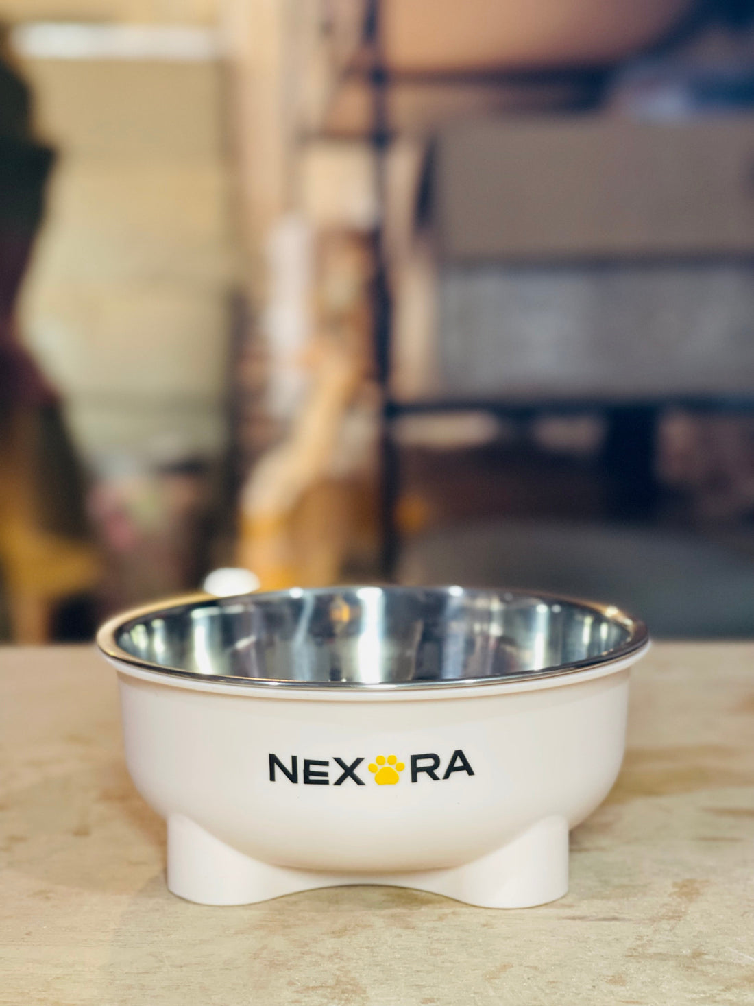 Nexora™ ComfortBowl — Premium Stainless Steel Pet Feeding Bowl