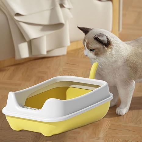 Cat Litter Box for Indoor Cats with Rim