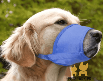 Adjustable Soft Nylon Muzzle for Dogs (Anti-Bite, Breathable)