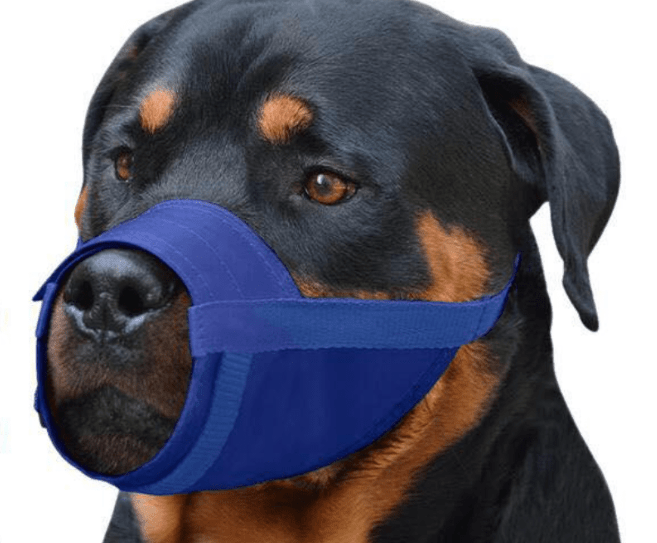 Adjustable Soft Nylon Muzzle for Dogs (Anti-Bite, Breathable)