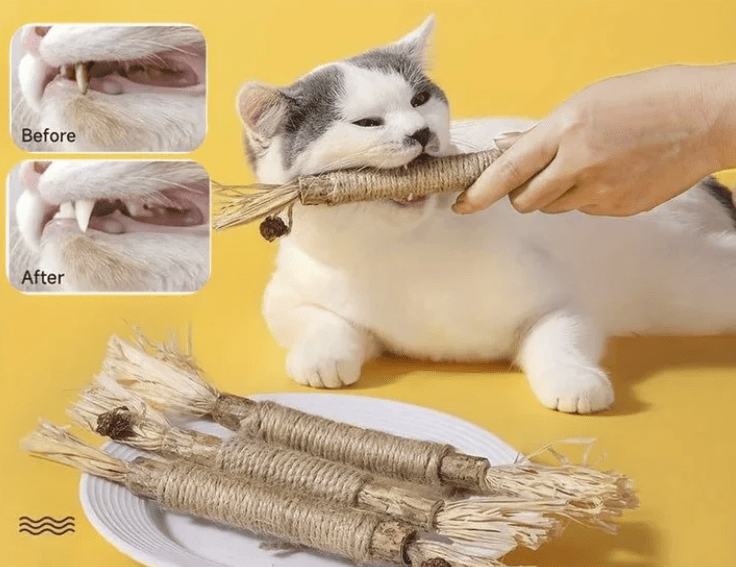All Natural Catnip Teething Toy for Cats (Free Delivery)