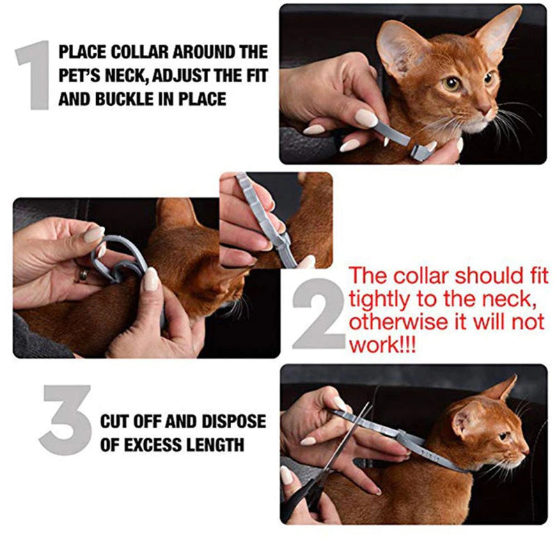 Anti Flea & Tick Collar (Ideal for Outdoor Cats & Dogs) FREE DELIVERY