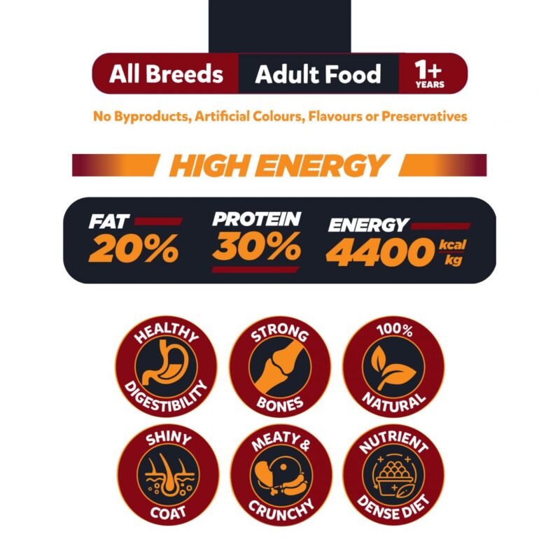 Big Paw High Energy Dog Food 20Kg