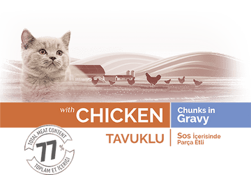 Bonacibo Kitten Gravy Chicken 85Grams