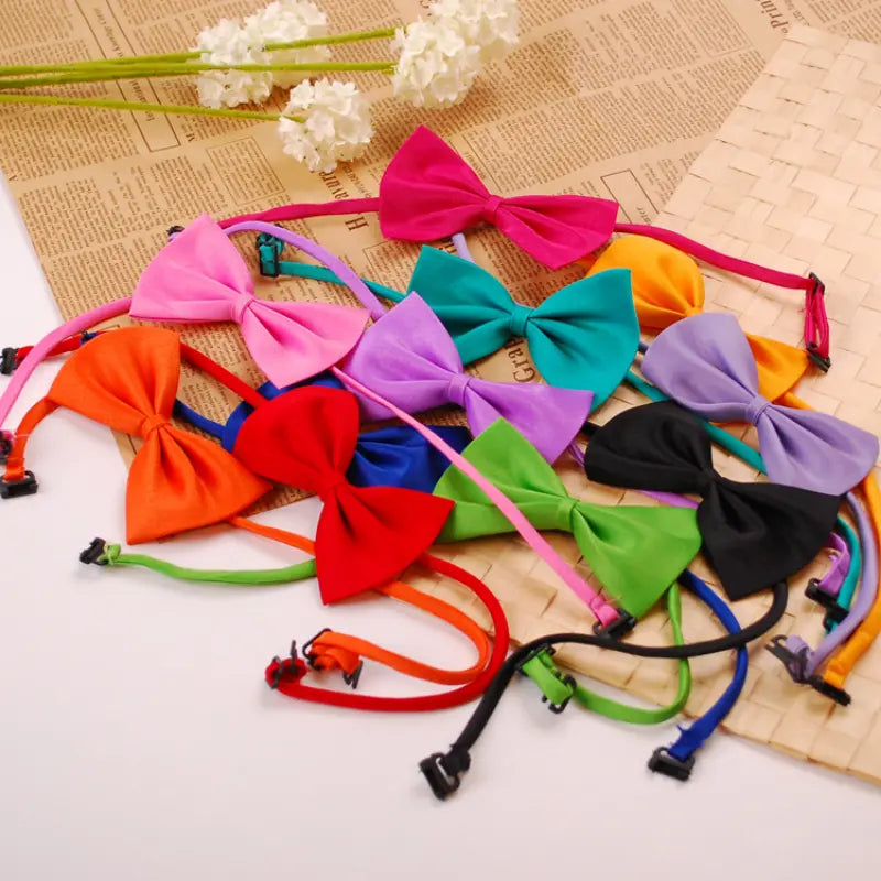 Bows for Cats and Small Puppies/Dogs
