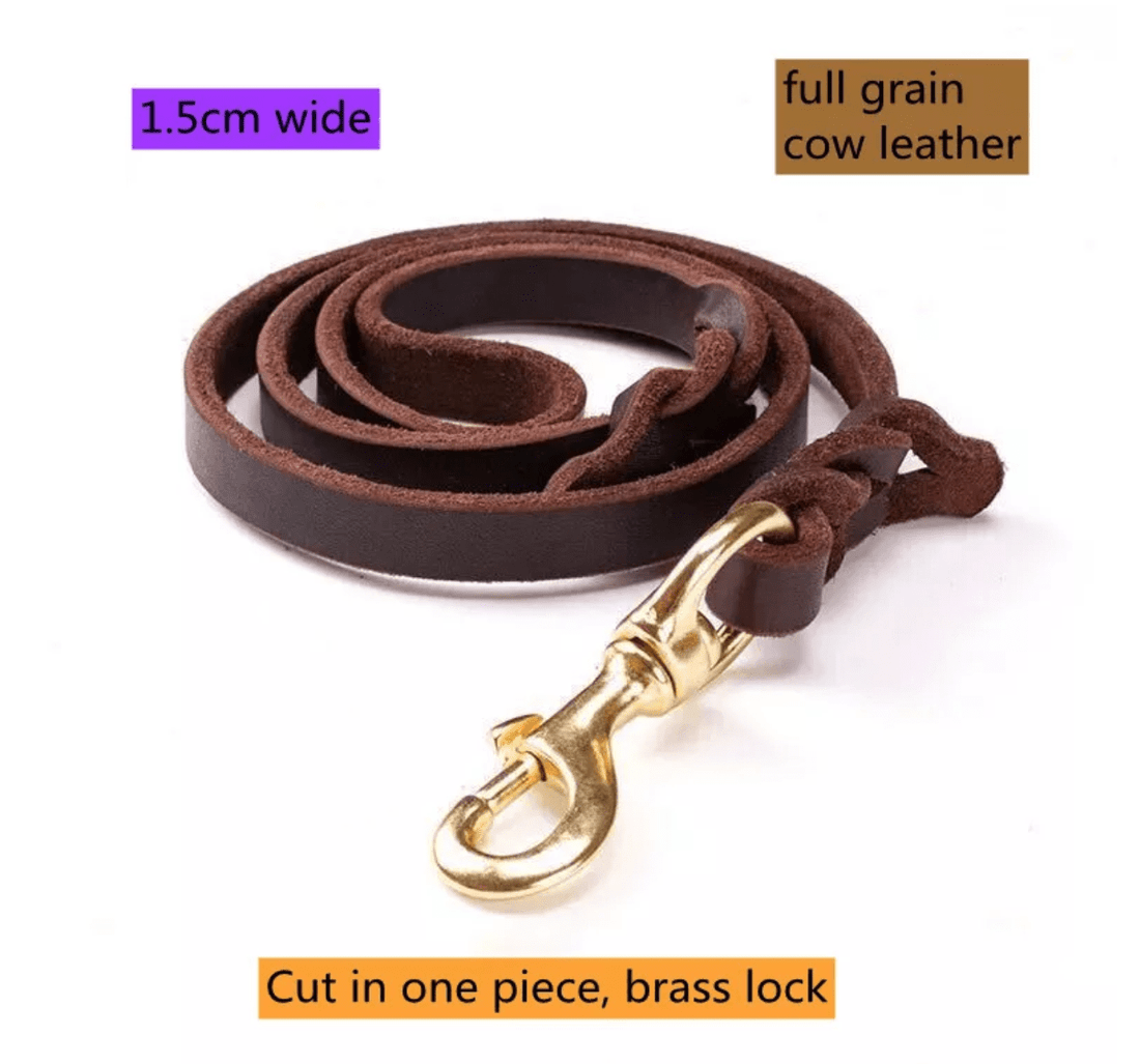 Brown GSD Show Leash for Dogs