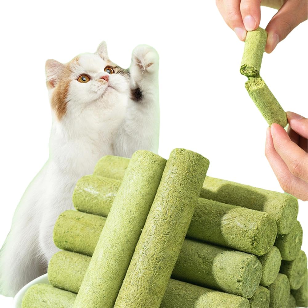 Cat Grass Teething Sticks for Hairballs  & Constipation (6 Sticks Pack)