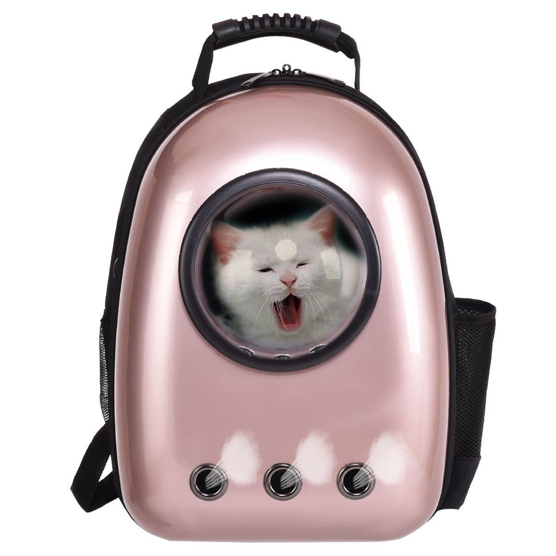 Cat Travel Backpack Colorful