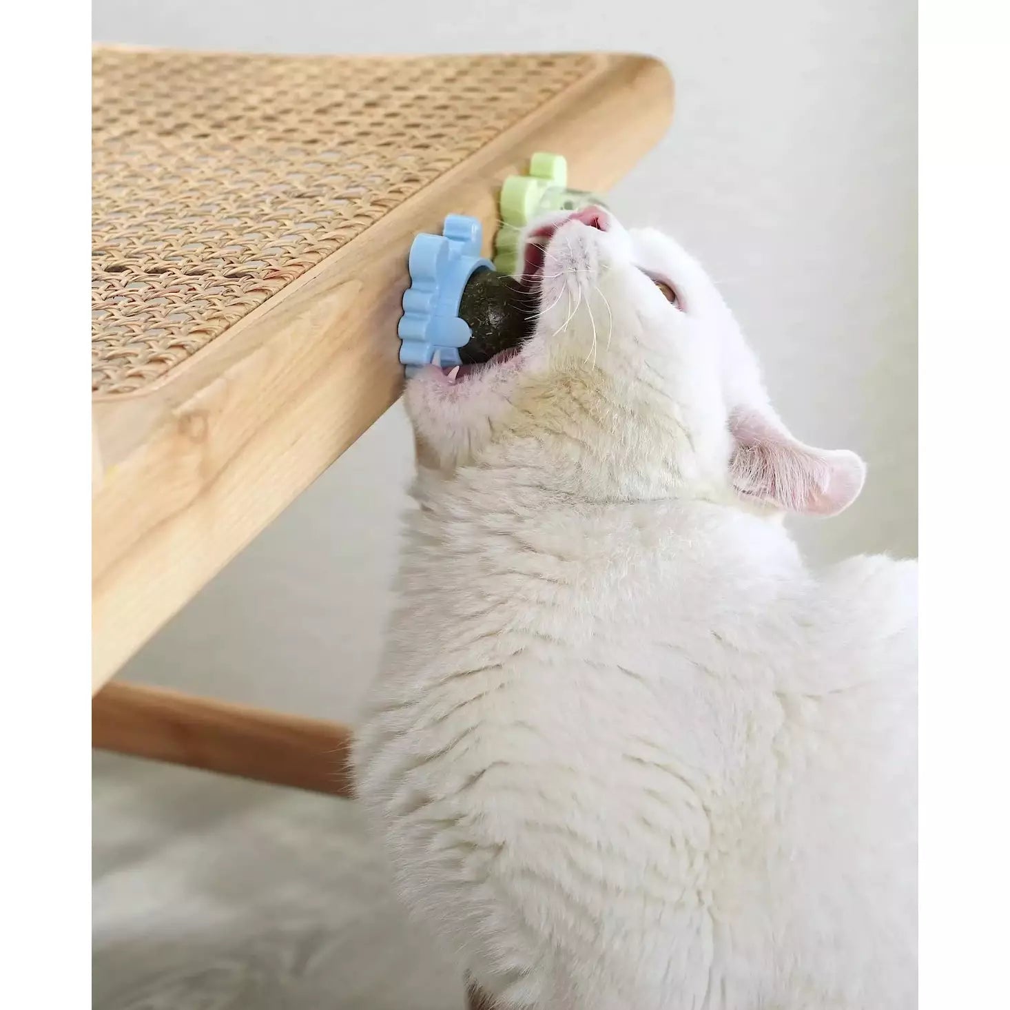 Catnip Lollipop for Cats