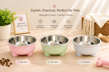 2-in-1 Detachable Pet Feeding Bowl