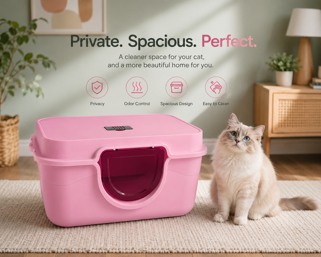 Bingow Paw Litter Box With Scoop