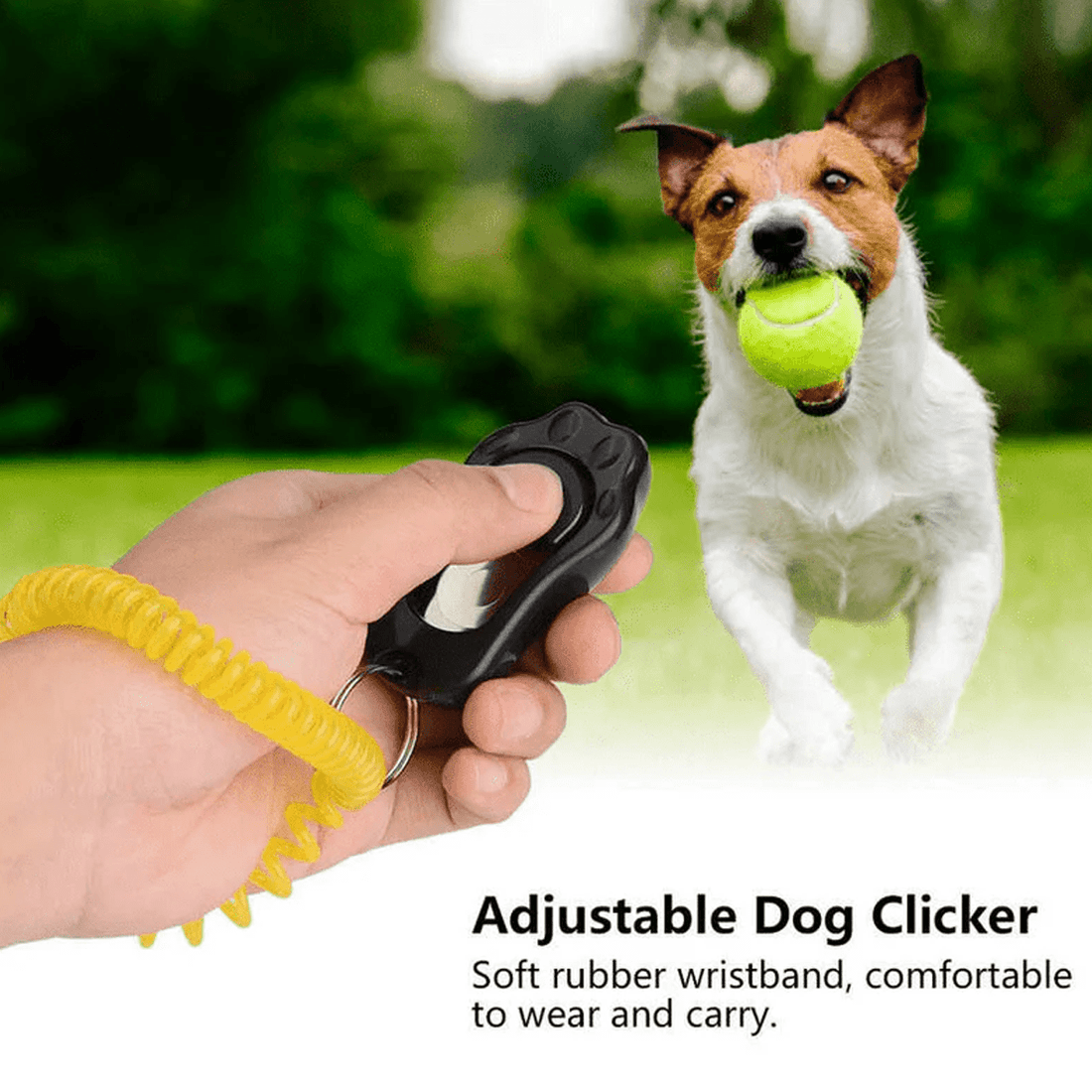 Clicker for Dog and Cat Training