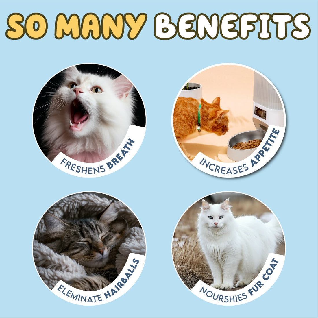 Cookeys Cat Dental Treats for Healthy Teeth with Catnip 80Grams