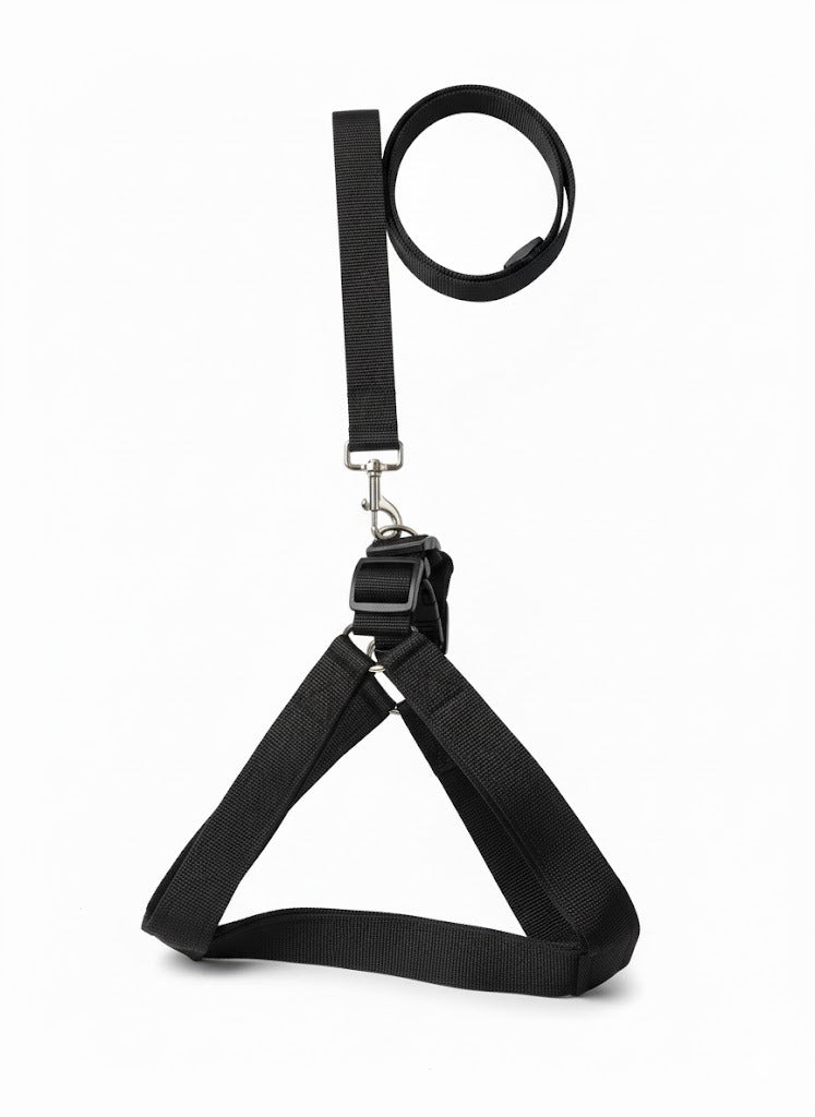 Dog Harness Best Quality