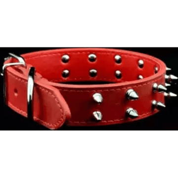 Double Spike Collar