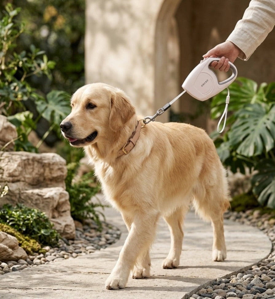 Durable Classic Retractable Leash For Dogs