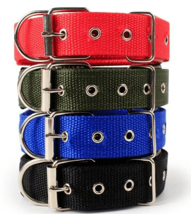 Durable Imported Nylon Dog Collar For Puppies & Dogs