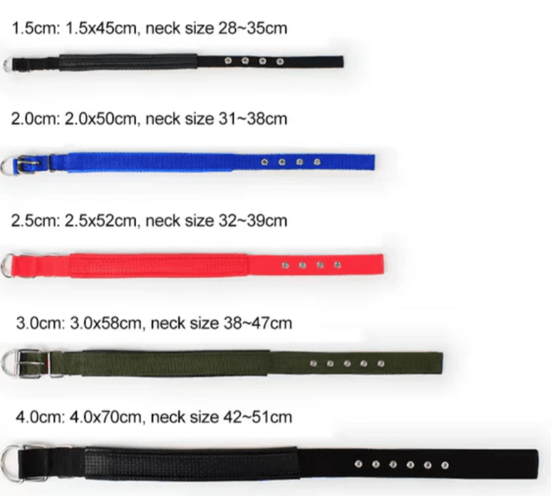 Durable Imported Nylon Dog Collar For Puppies & Dogs