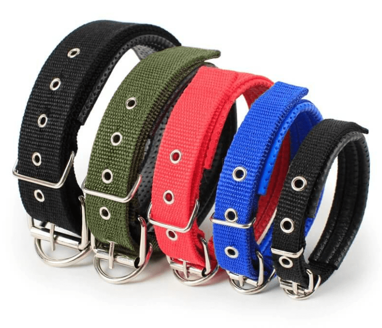 Durable Imported Nylon Dog Collar For Puppies & Dogs