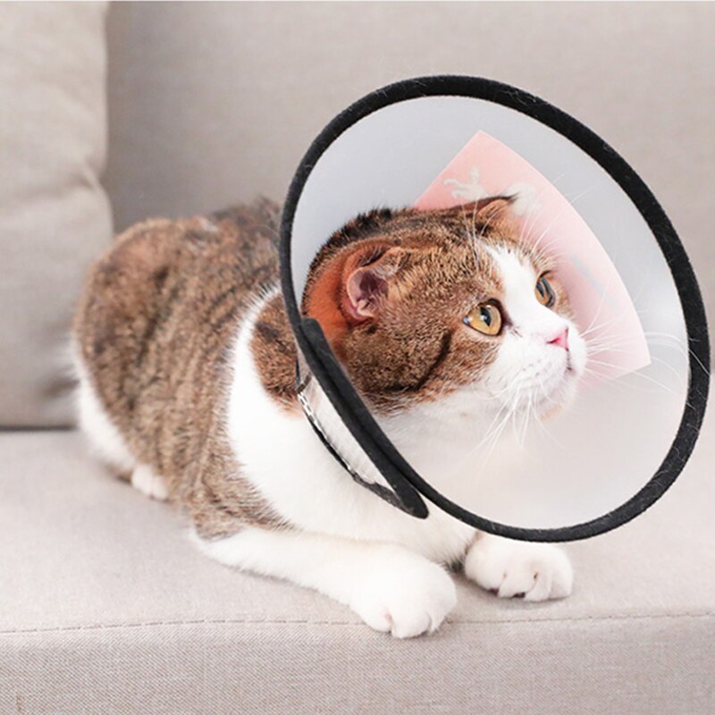E-Collar for Cats and Dogs
