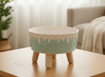 Elegant Elevated Single Bowl