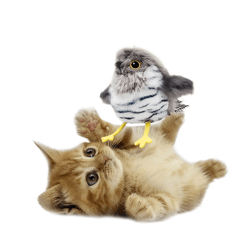 Chirping Bird Toy for Cats