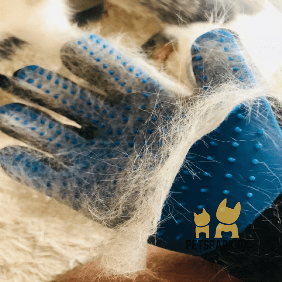 Grooming Gloves For Dogs And Cats