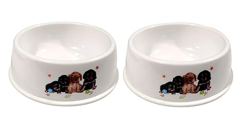 HappyPaws Durable Feeding Bowl