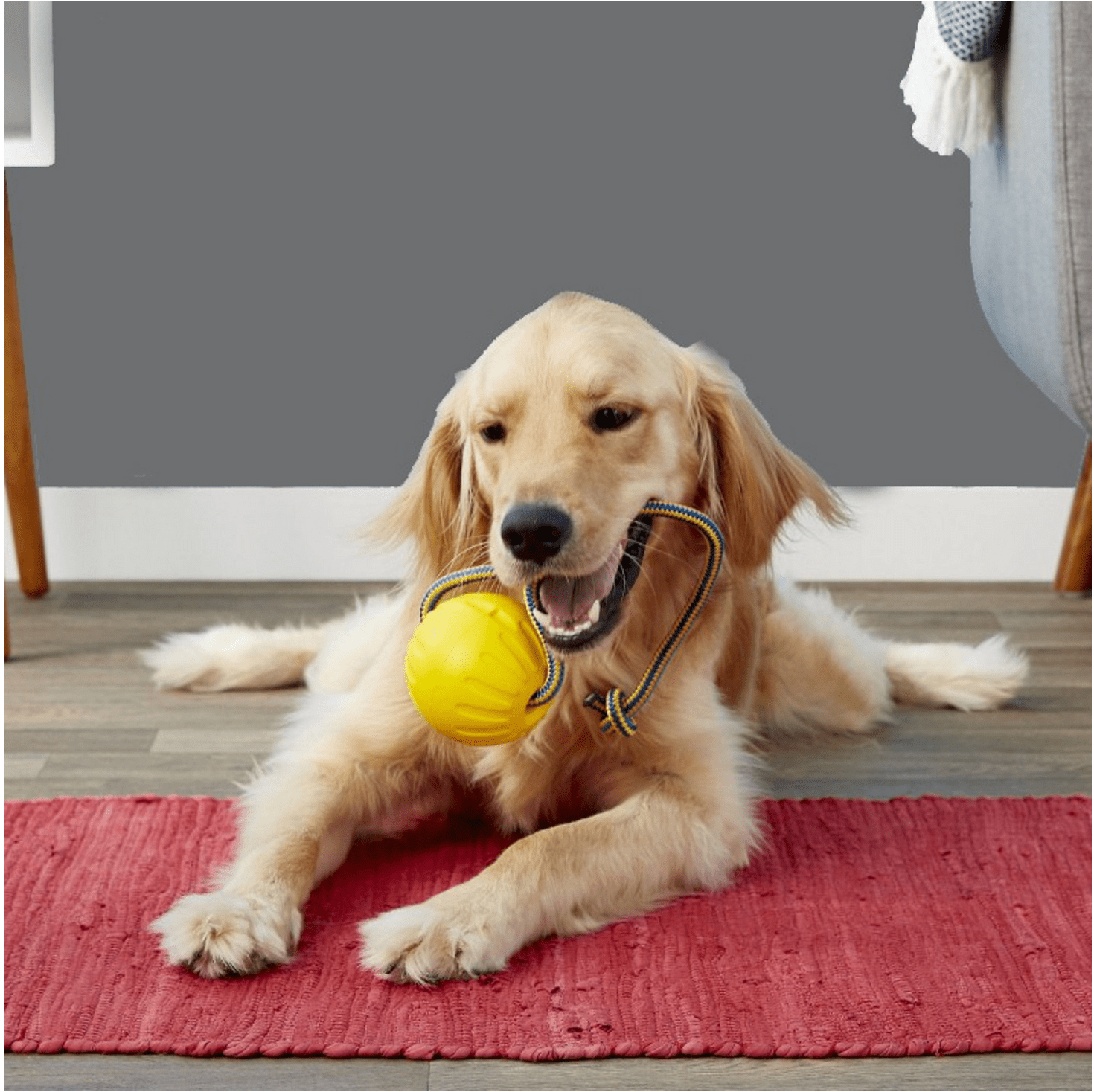 High Quality Tug Toy for Puppies and Dog Very Durable