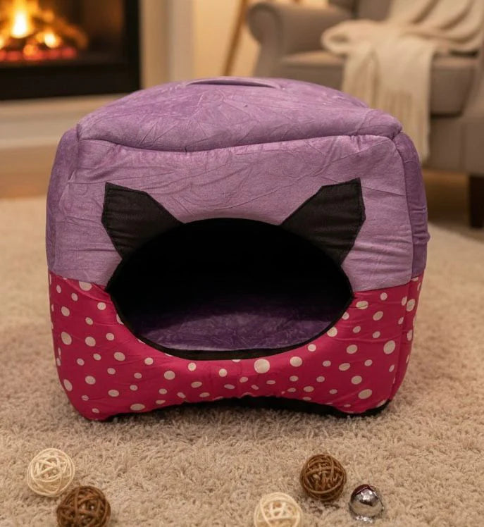 House in a Bed with pet