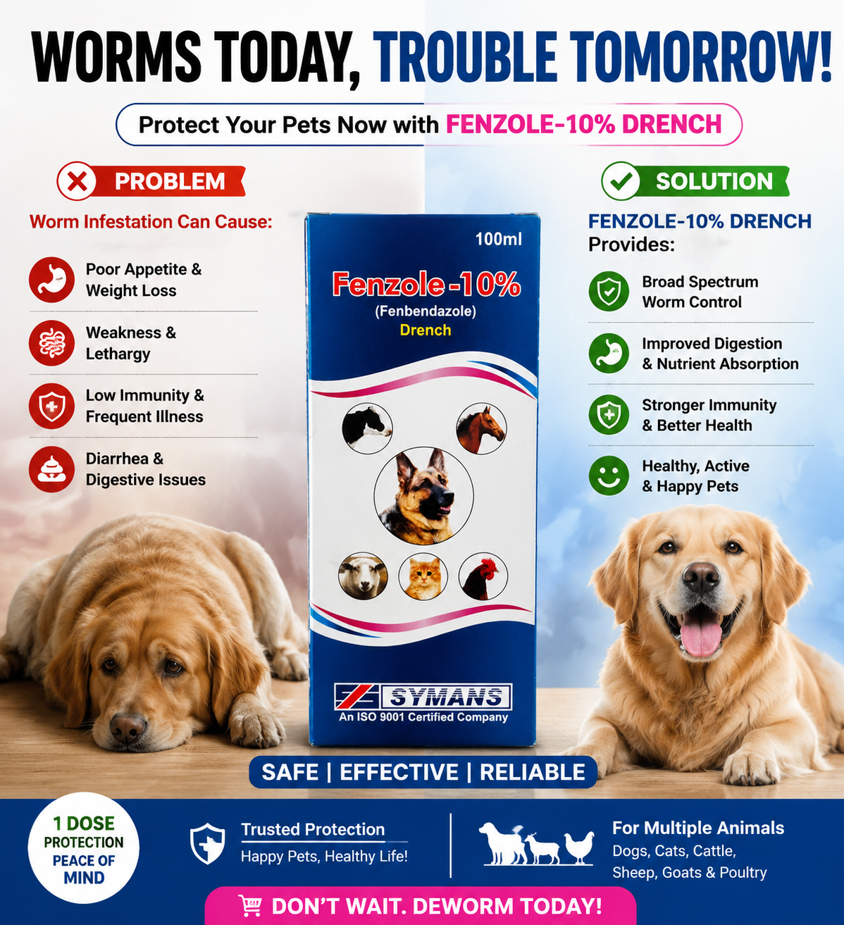 Fenzole Dewormer Syrup for Pets – 100 ML