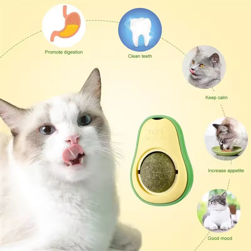 Avocado Shaped Catnip Wall Ball Cat Toys