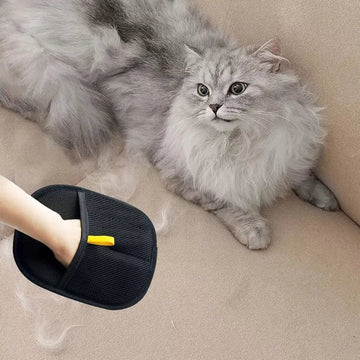 Soft Black Lint Glove for Pet Hair Cleaning