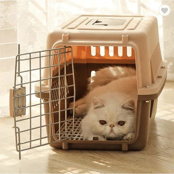 Jet Box Pet Carrier