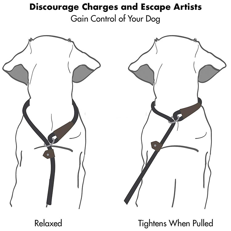 Lab Rope Leash for Dogs - 8mm Imported