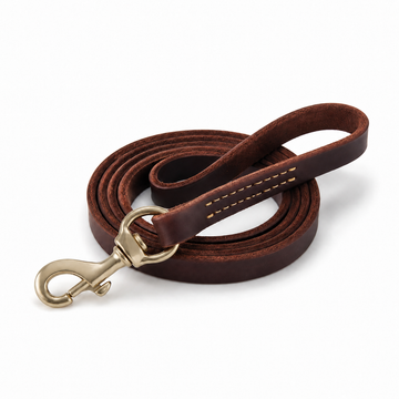 Premium Leather Leash for Dogs