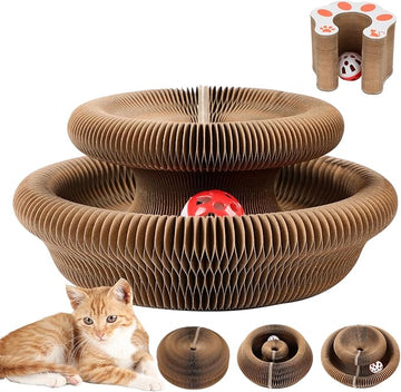 Magic Organ Board Toy for Kitten and Cats