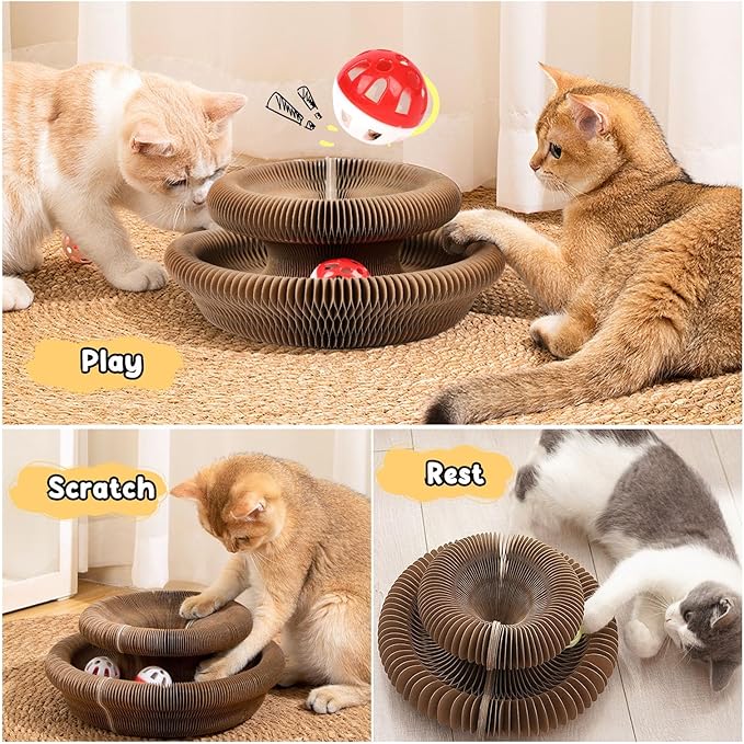 Magic Organ Board Toy for Kitten and Cats