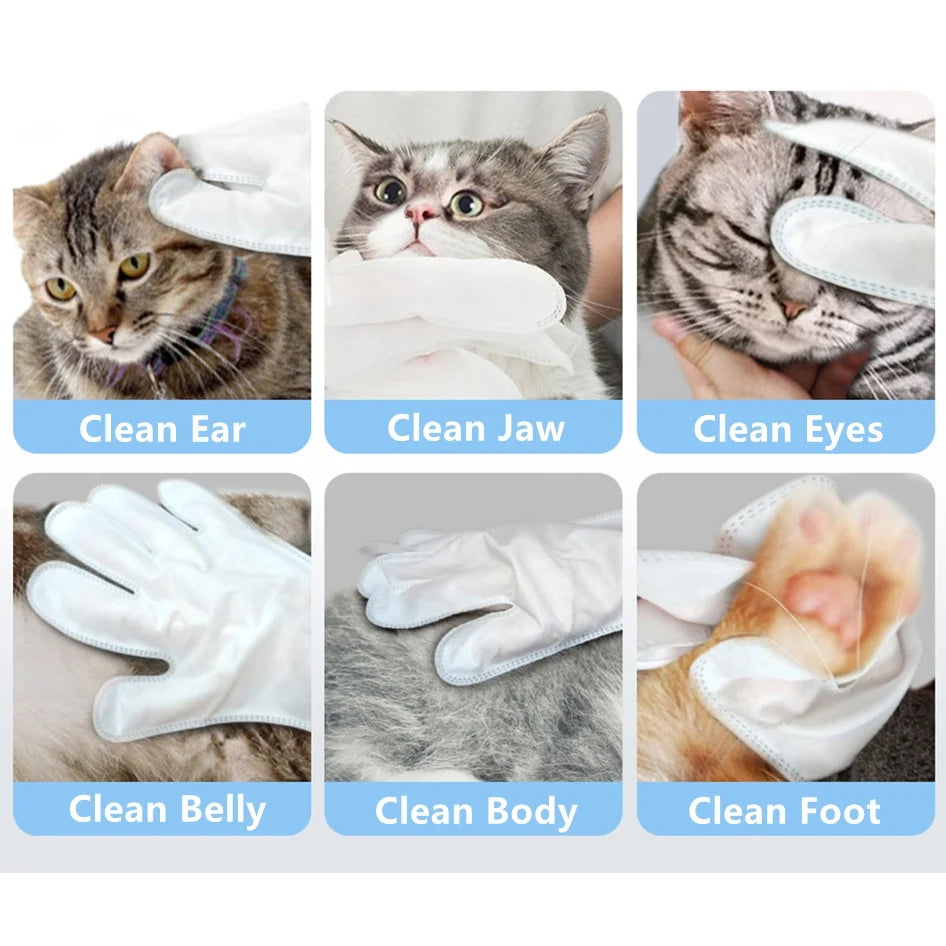 No Rinse Spa Wet Gloves for Pet Cleaning (Free Delivery)