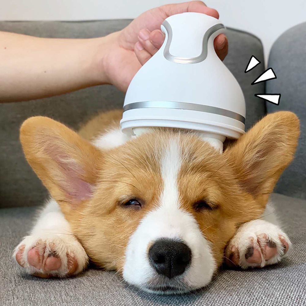 Pet Body Massager for Quick Relief