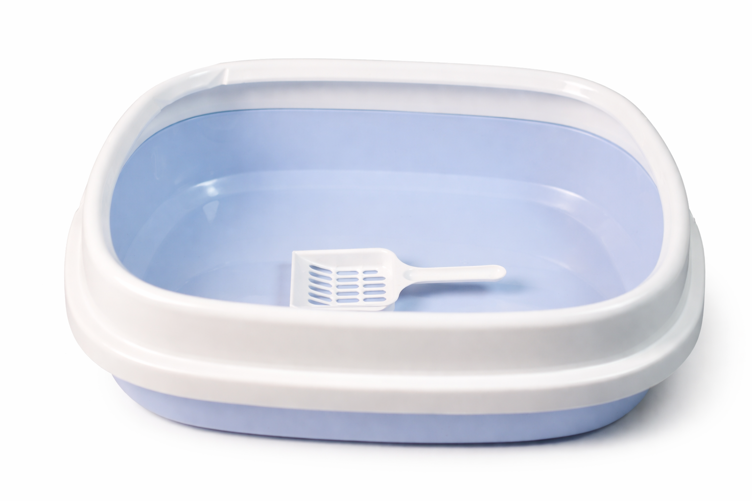 Nexora™ Extra Large Covered Cat Litter Tray with Scoop [19x15 inches]