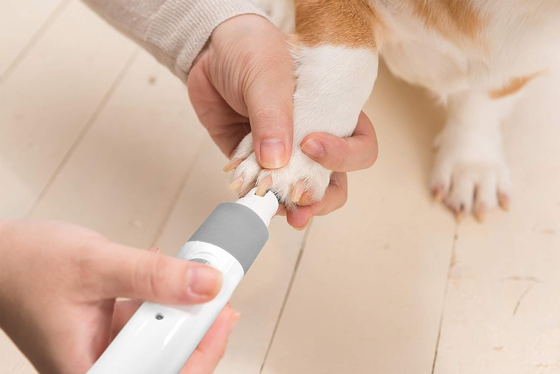 Professional Electric Pet Nail Grinder Best Quality (Very Safe)
