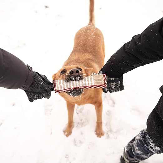 Puppy/Dog Tug for Strong Teeth and Training