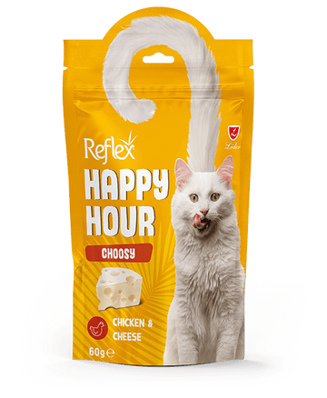 Reflex Happy Hours Dry Treat for Cats