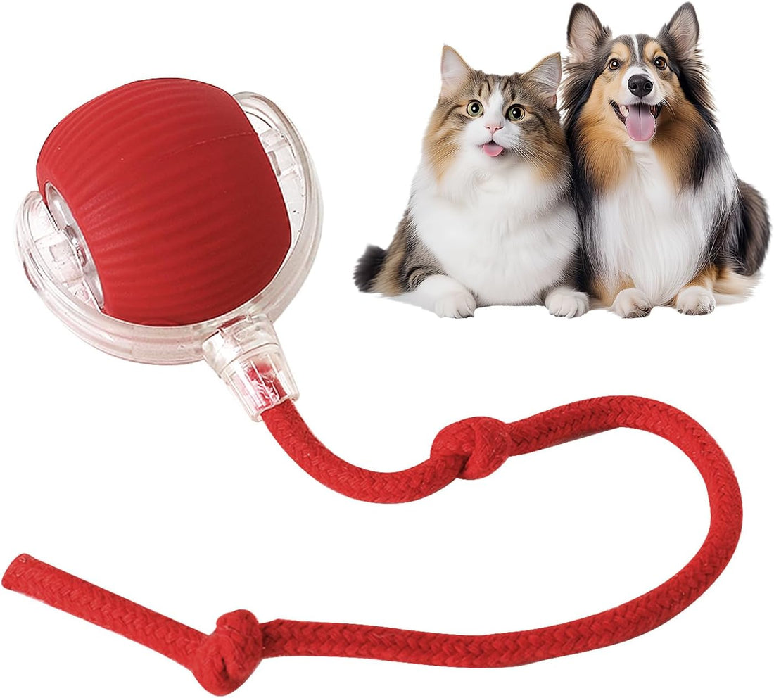 Rolling Smart Electric Pet Ball for Cats and Dogs