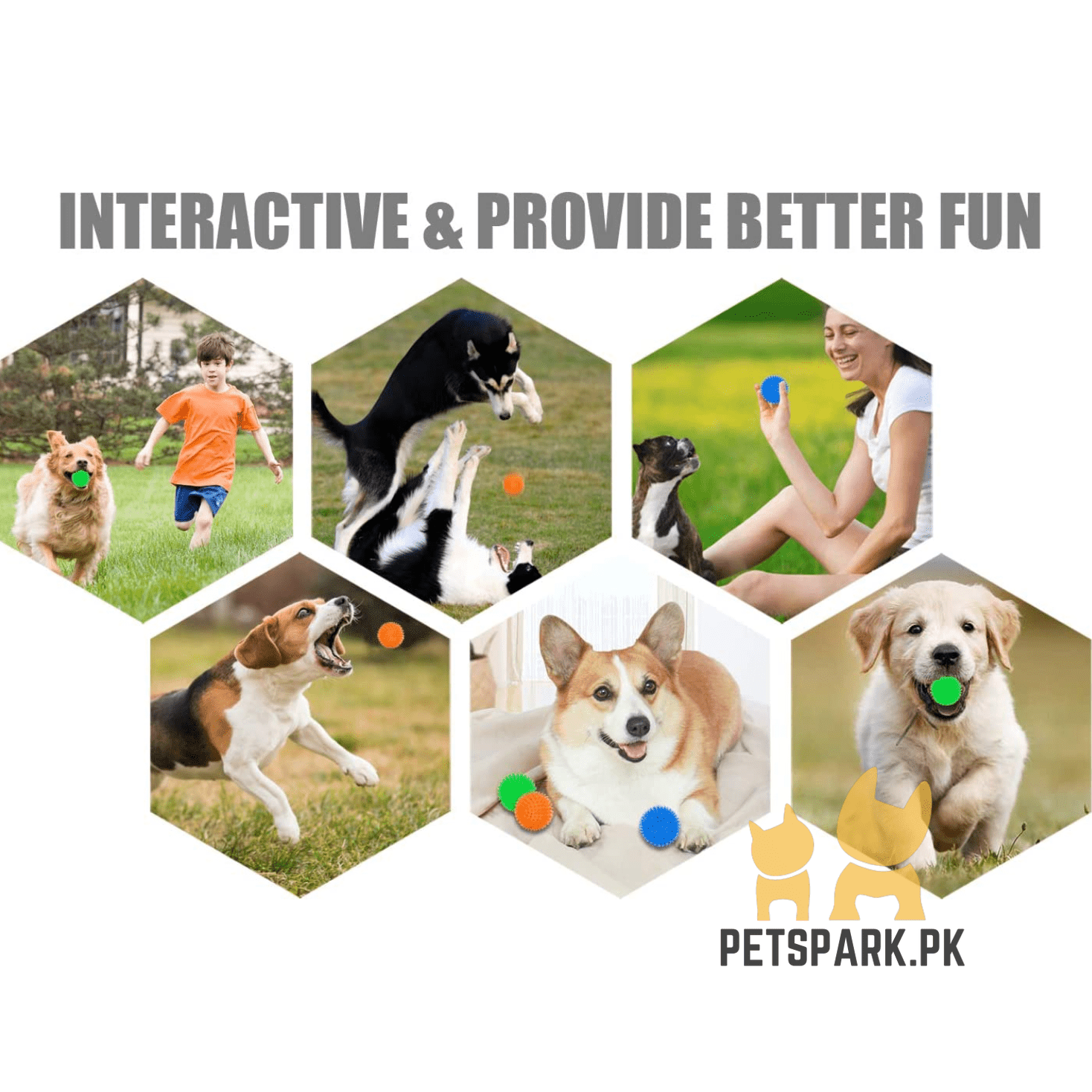 Round Spikes Toy Ball with LED for Puppies and Dogs