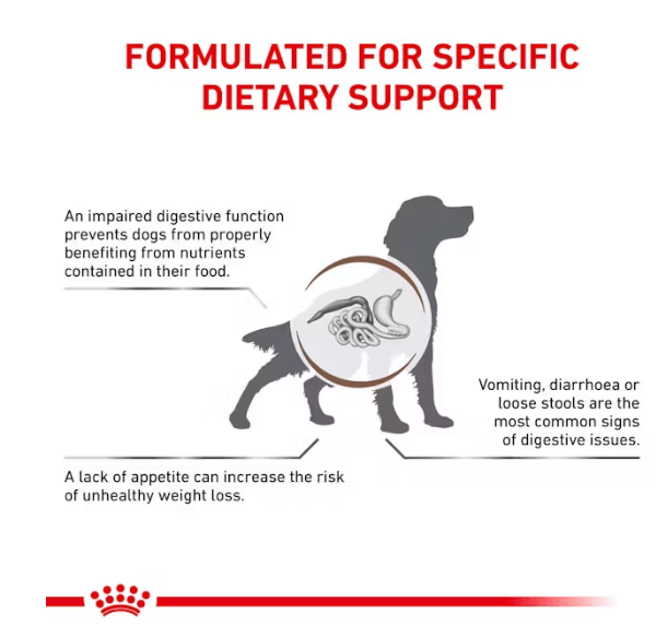 Royal Canin Gastrointestinal Adult for Dogs – 2 KG