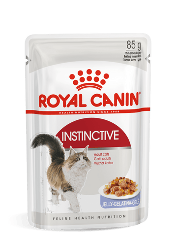 Royal Canin Jelly Cat Adult * 1