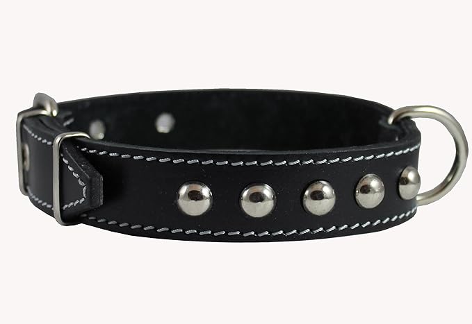 Single Studded Leather Dog Collar With Buckle